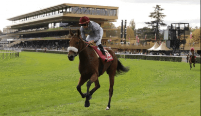 Horse Racing and the Development of Winning Horses