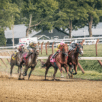 Horse Racing and the Future of the Industry