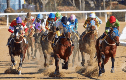 Horse Racing and the Growing Influence of Women in the Sport