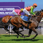 Horse Racing and the Growing Interest in Horse Breeding