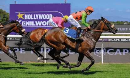 Horse Racing and the Growing Interest in Horse Breeding