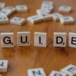 a beginner friendly guide to zhuzdizos