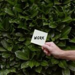 top reasons to learn asuktworks
